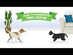 Protexin Pro-Kolin+ Probiotic Paste for Dogs & Cats