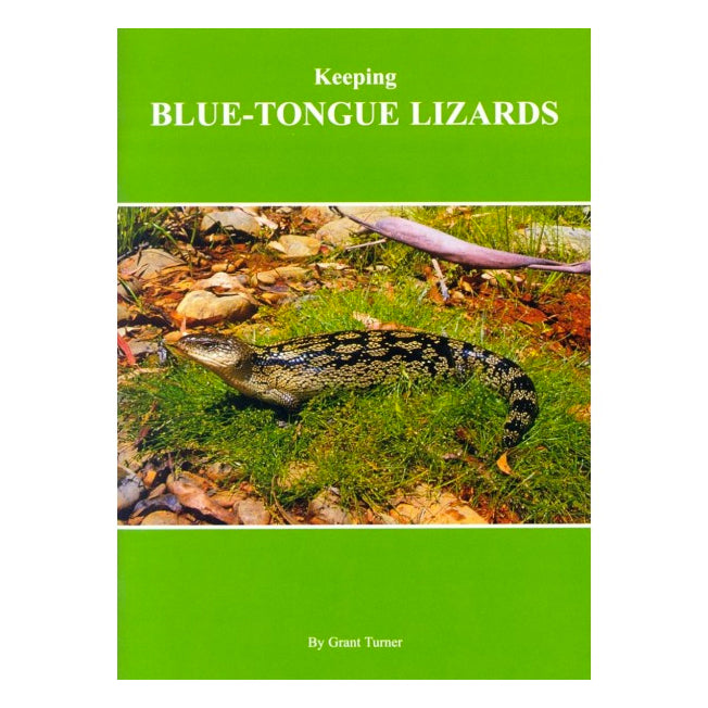 Keeping Blue-Tongue Lizards (Australia)