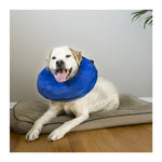 KONG Cloud Collar