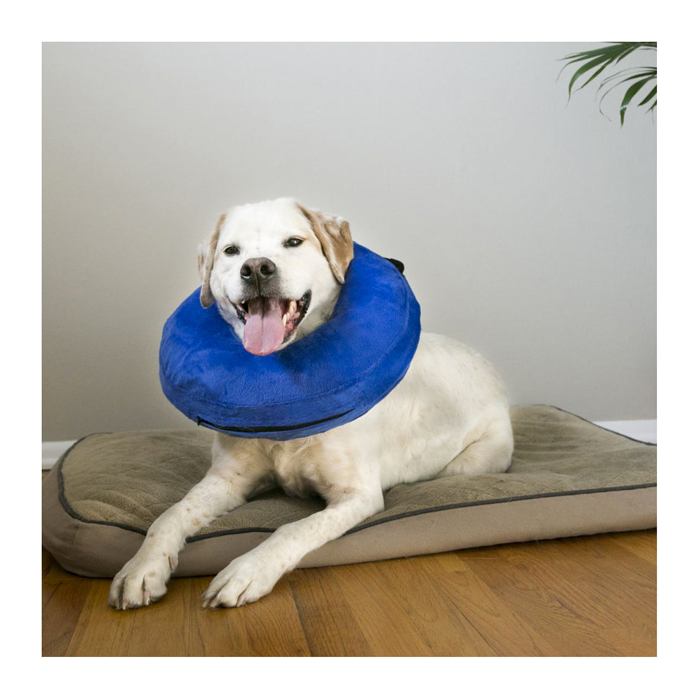 KONG Cloud Collar