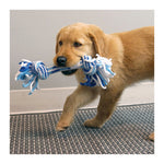 KONG Puppy Rope Stick