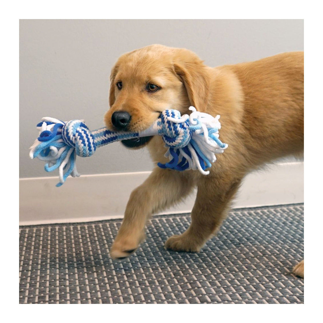 KONG Puppy Rope Stick