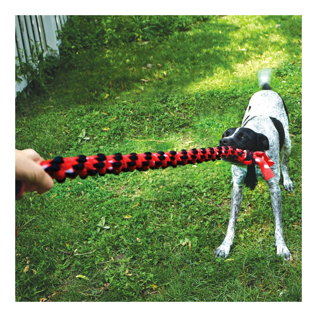 KONG Signature Rope Mega Dual Knot Tug Toy