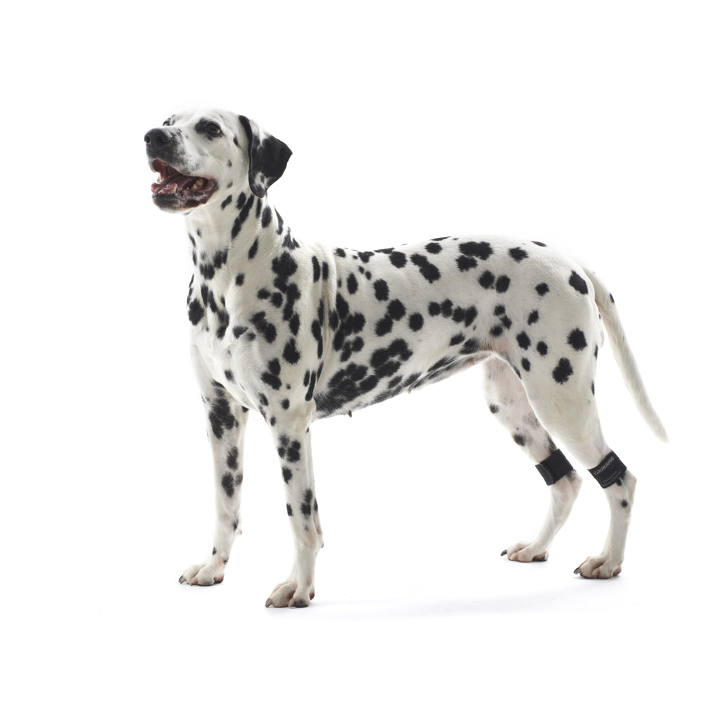 Kruuse Rehab Weighted Cuffs for Dogs - 1 Pair