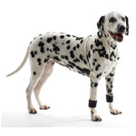 Kruuse Rehab Weighted Cuffs for Dogs - 1 Pair