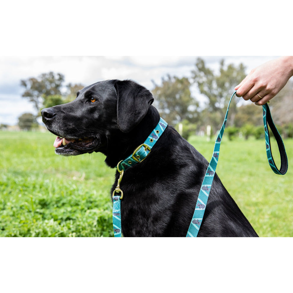 AniPal Recycled Plastic Dog Leash 130cm