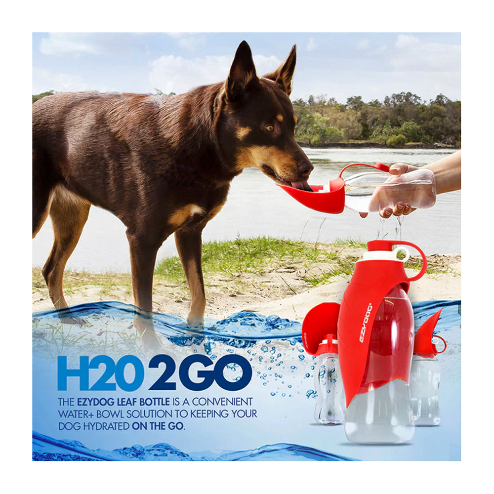 EzyDog Leaf Water Bottle for Dogs