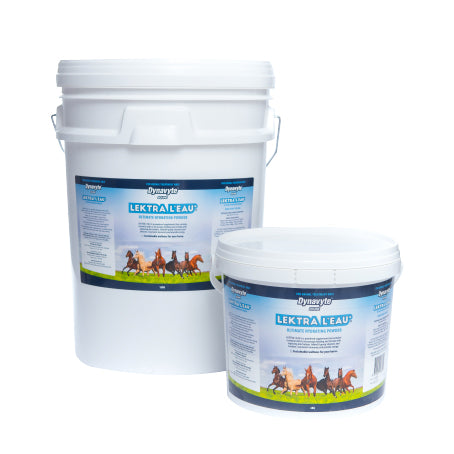 Dynavyte Lektra L'eau Electrolyte Powder for Horses
