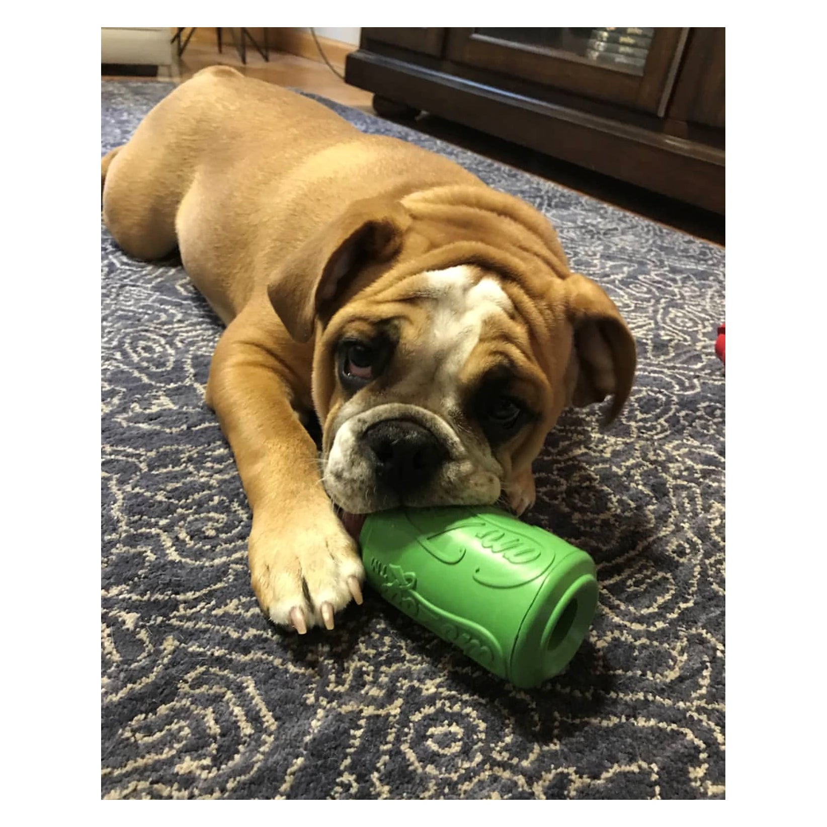 SodaPup Chew & Treat Dispensing Can Toy