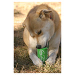 SodaPup Chew & Treat Dispensing Can Toy