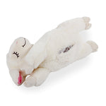 All For Paws Little Buddy Heart Beat Sheep