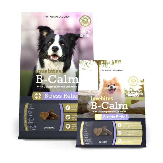 Calming Supplements for Dogs