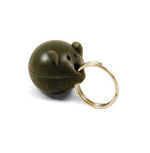 Staywell Collar & Magnetic Key
