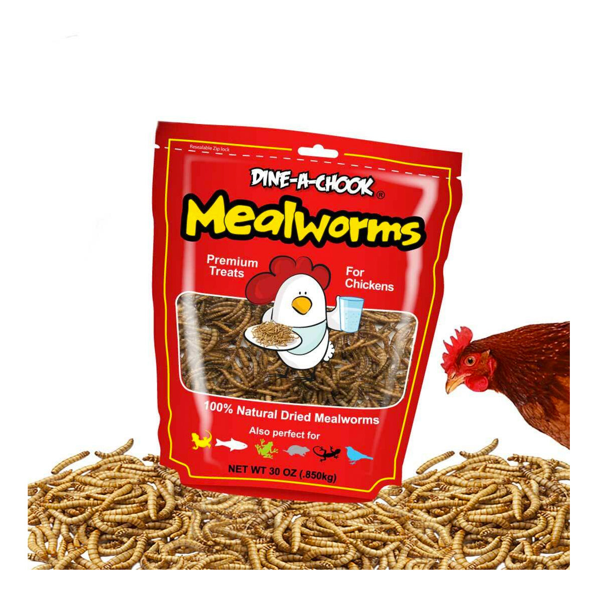 Dine-A-Chook Dried Mealworms