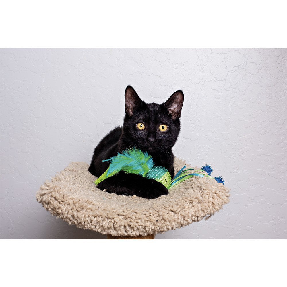 Mesh Ball Cat Toy