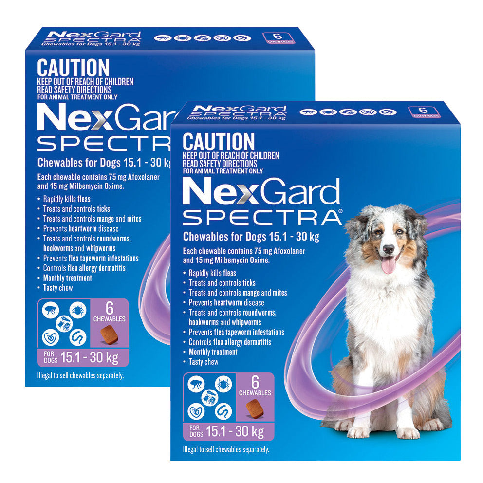 NexGard Spectra Chews for Large Dogs 15.1-30kg - 12 Pack Value Bundle