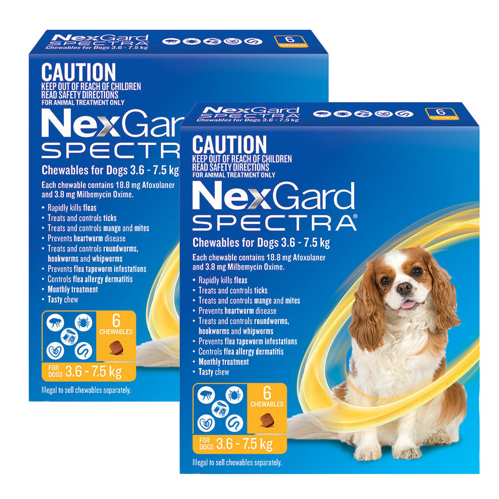 Nexguard Small NexGard Spectra Chews for Small Dogs 3.6-7.5kg - 12 Pack Value Bundle ...