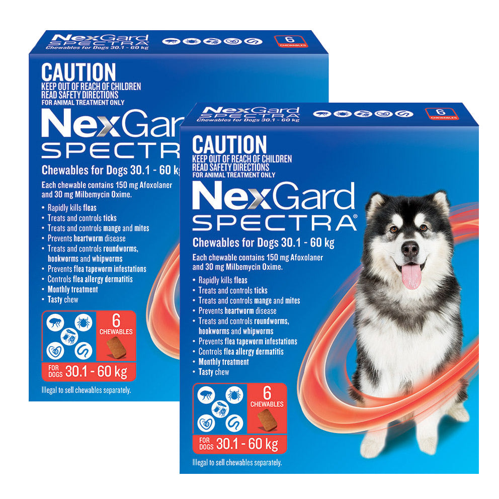 NexGard Spectra Chews for Very Large Dogs 30.1-60kg - 12 Pack Value Bundle