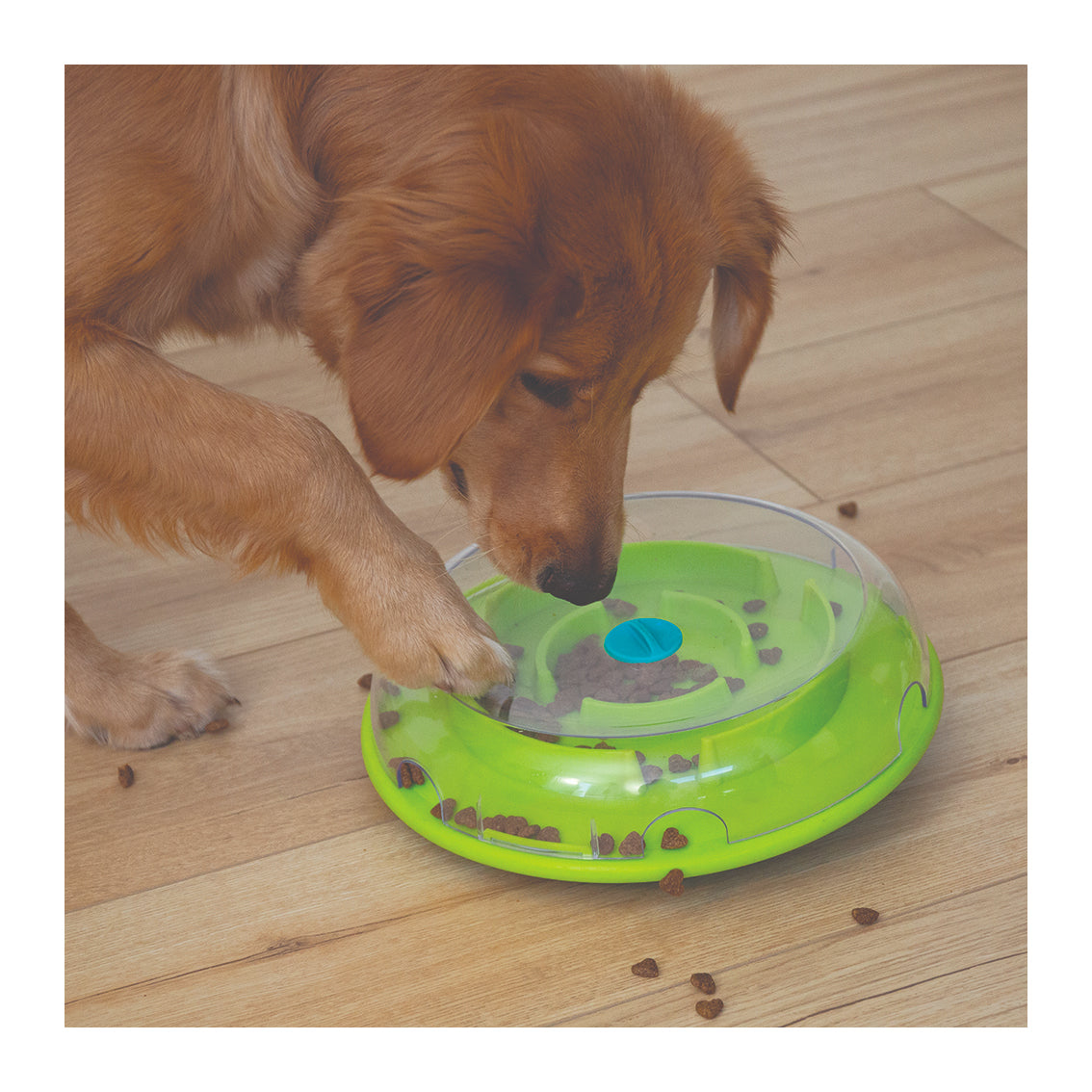 Nina Ottosson Wobble Bowl Food & Treat Dispensing Puzzle Dog Toy