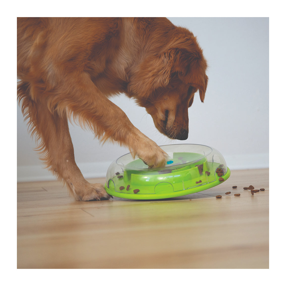 Nina Ottosson Wobble Bowl Food & Treat Dispensing Puzzle Dog Toy