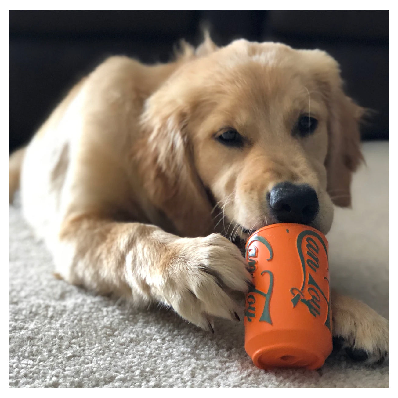 SodaPup Orange Squeeze Can Toy - XLarge