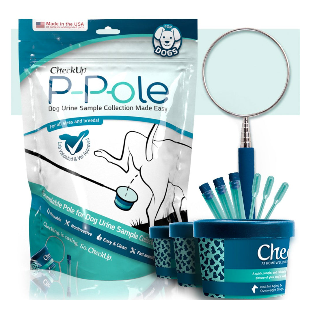 CheckUp P-Pole Dog Urine Sample Collection Kit