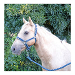 AniPal Comfort Halter & Lead Set for Horses