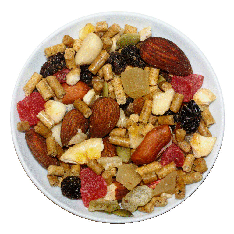 Passwell Fruit & Nut Treat for Birds