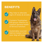 PAW Complete Calm Chews for Dogs 300g