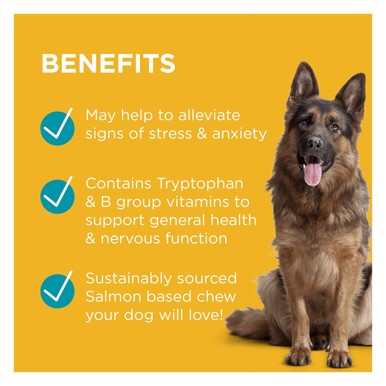 PAW Complete Calm Chews for Dogs 3x300g Value Bundle