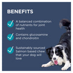 PAW Osteocare Joint Protect Dog Chews