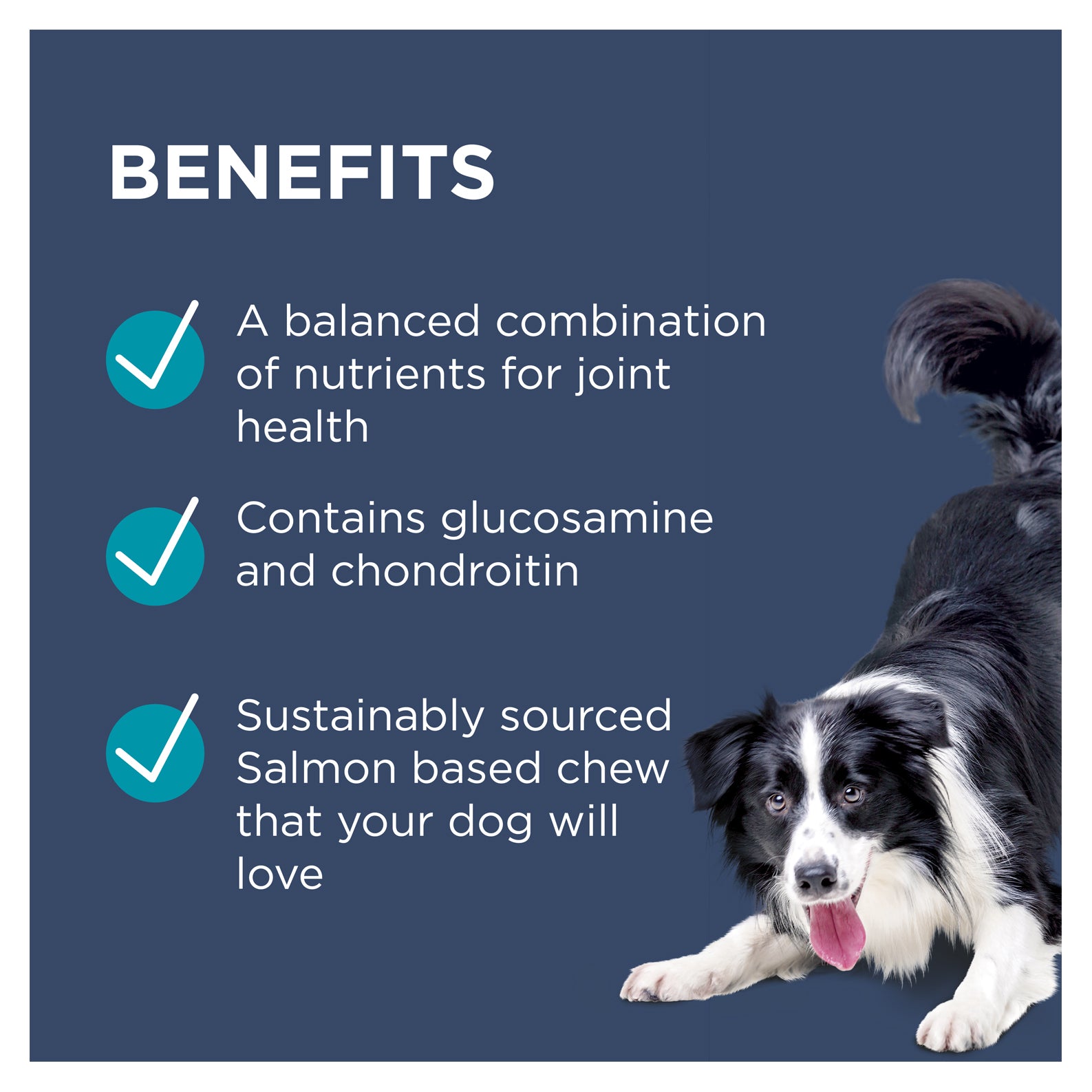 PAW Osteocare Joint Protect Dog Chews