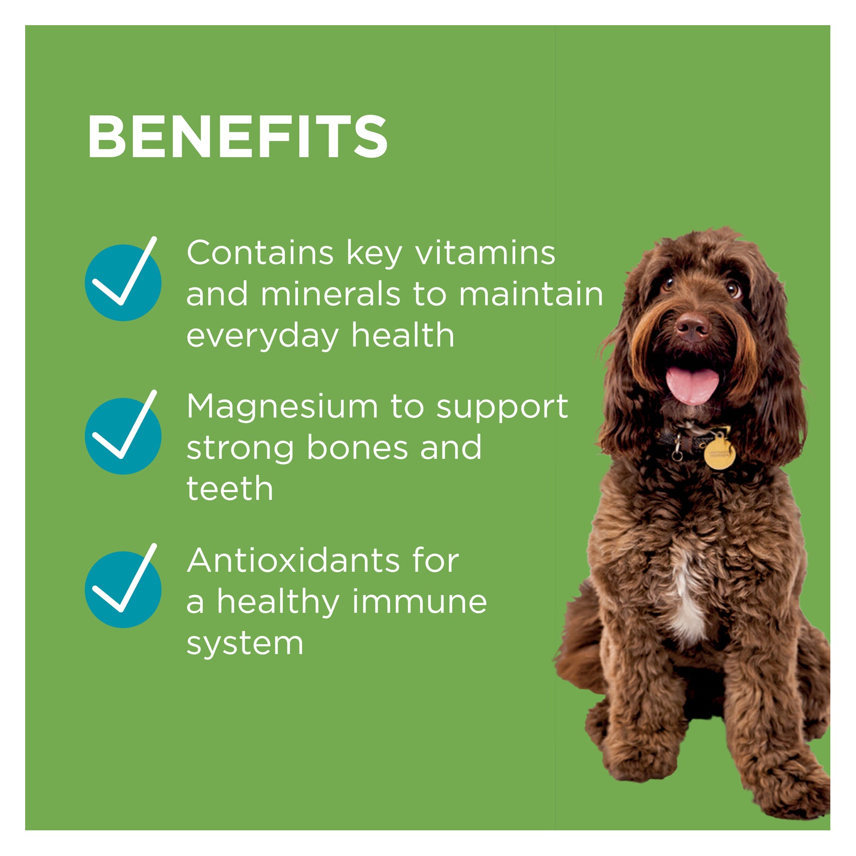 PAW Wellness + Vitality Multivitamin & Wholefood Chews 300g