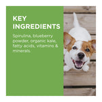 PAW Wellness + Vitality Multivitamin & Wholefood Chews 300g
