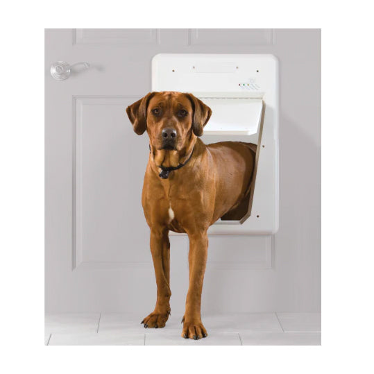 PetSafe Electronic Smart Door - Large