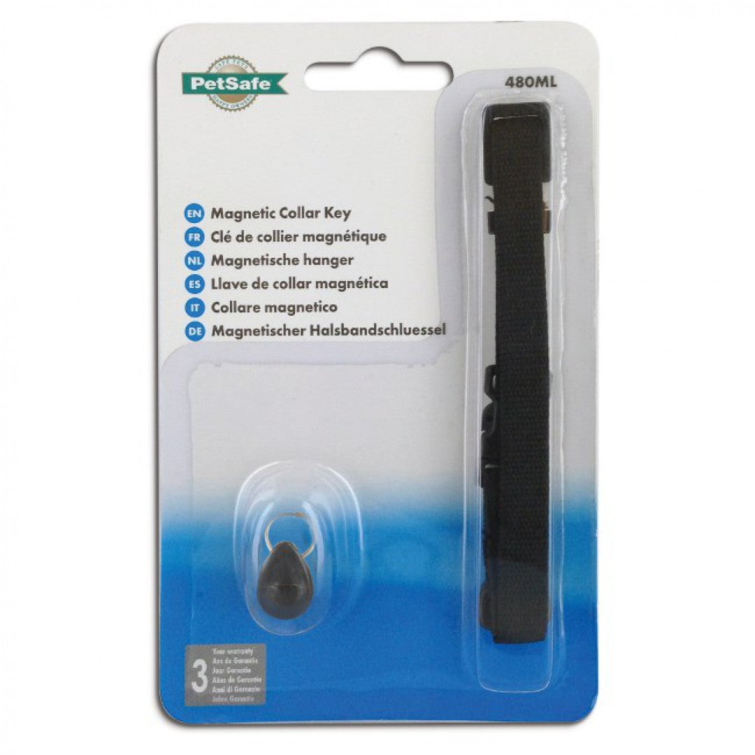 Staywell Collar & Magnetic Key