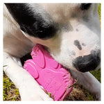 SodaPup Nylon Pink Paw Print Chew Toy