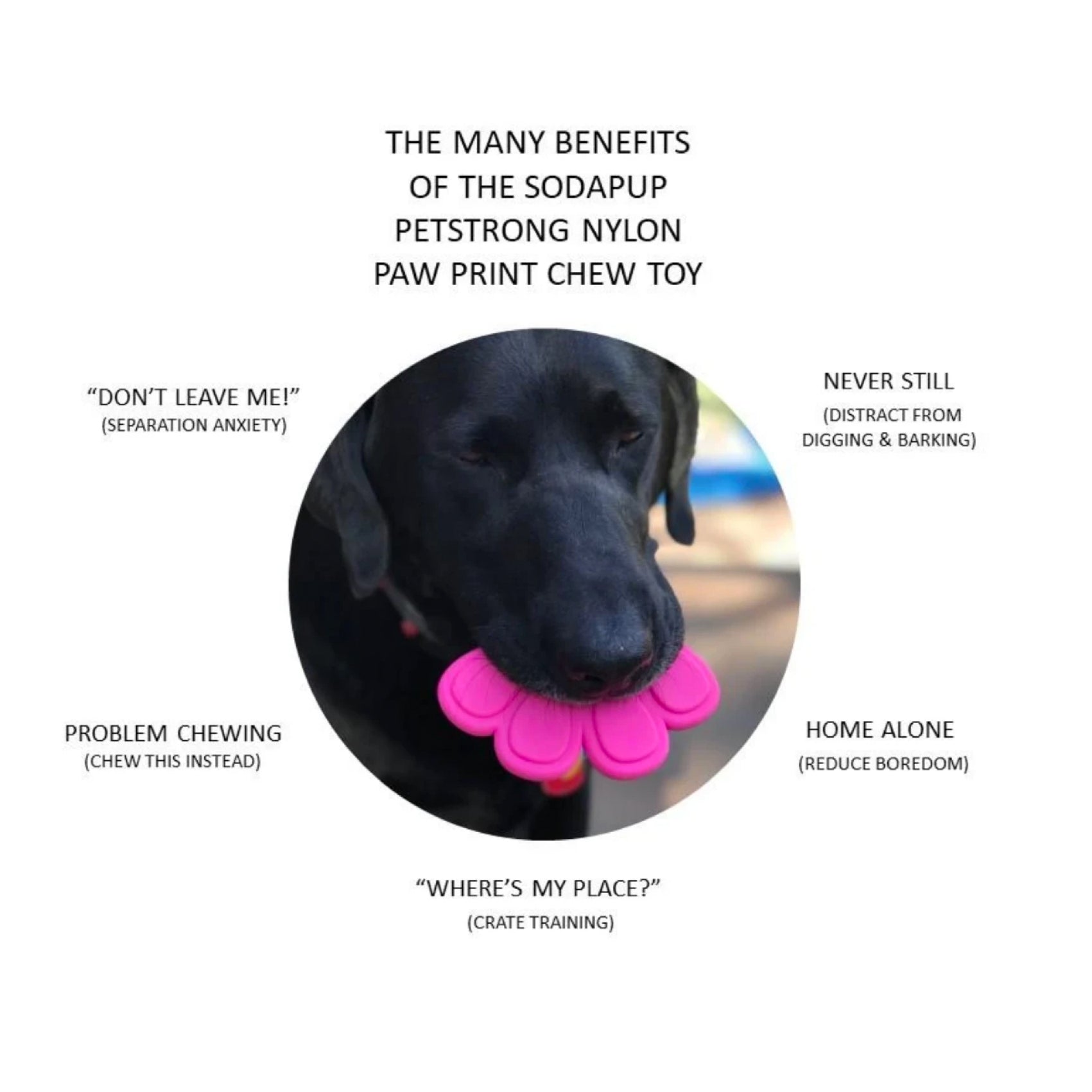 SodaPup Nylon Pink Paw Print Chew Toy