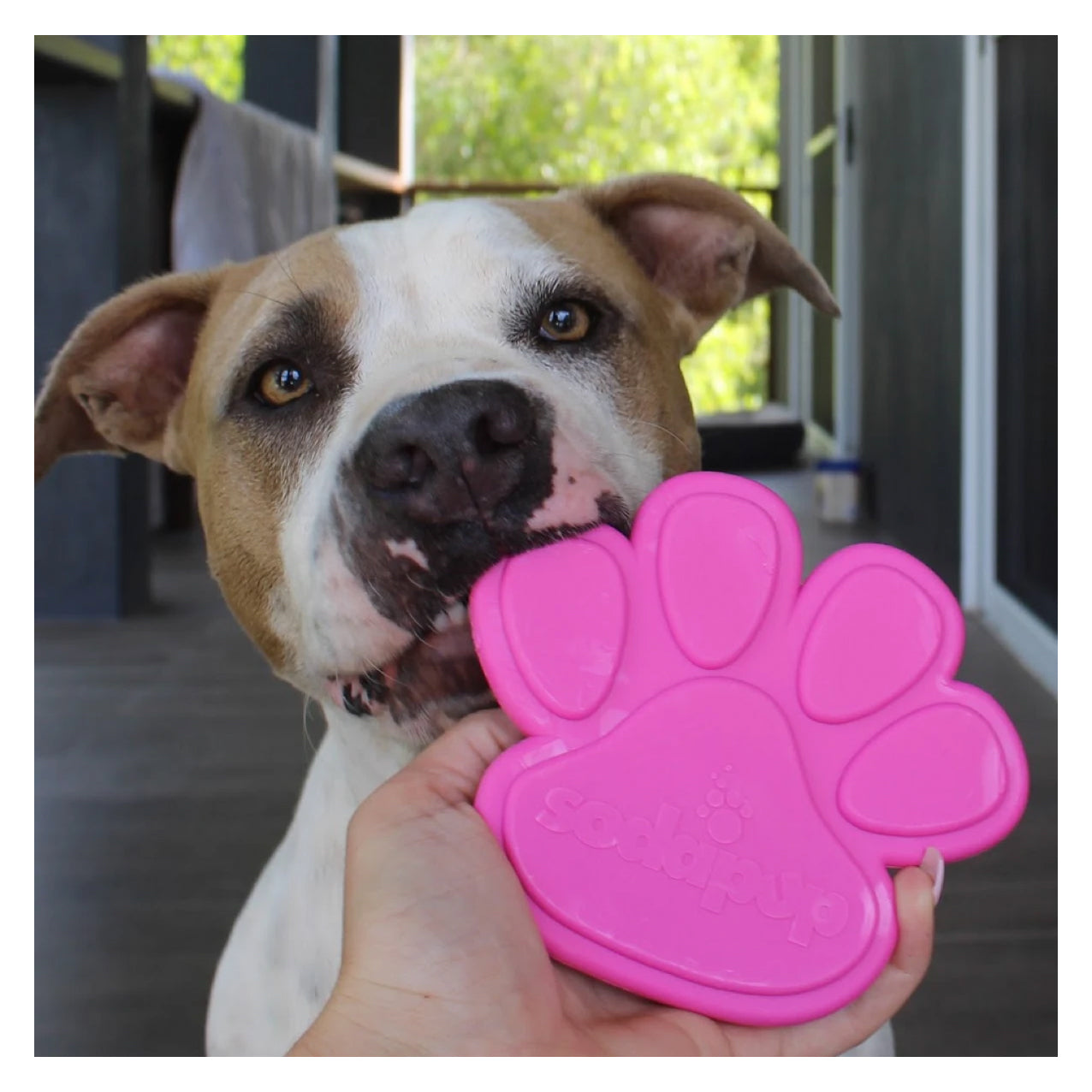 SodaPup Nylon Pink Paw Print Chew Toy