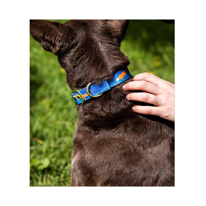 AniPal Dog Collar
