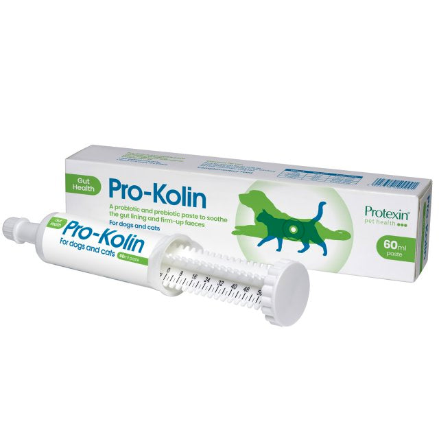 Dog Digestive Health