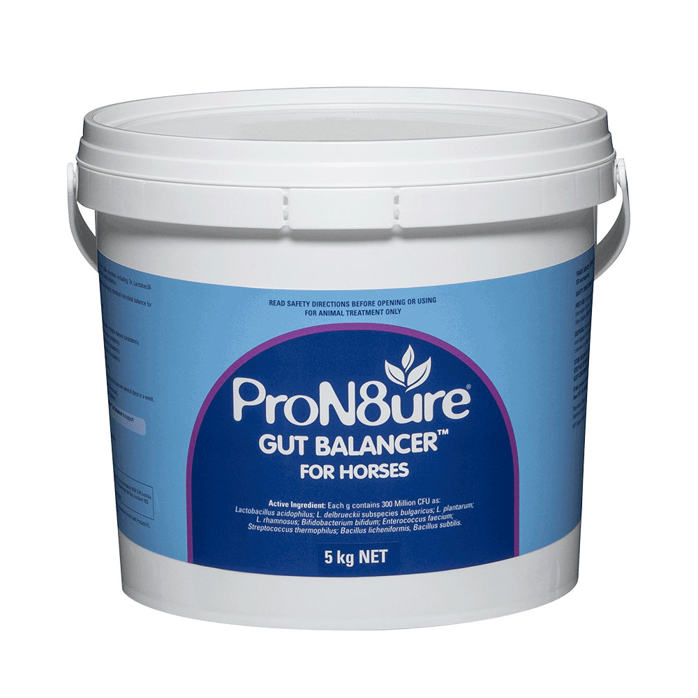 ProN8ure Gut Balancer for Horses