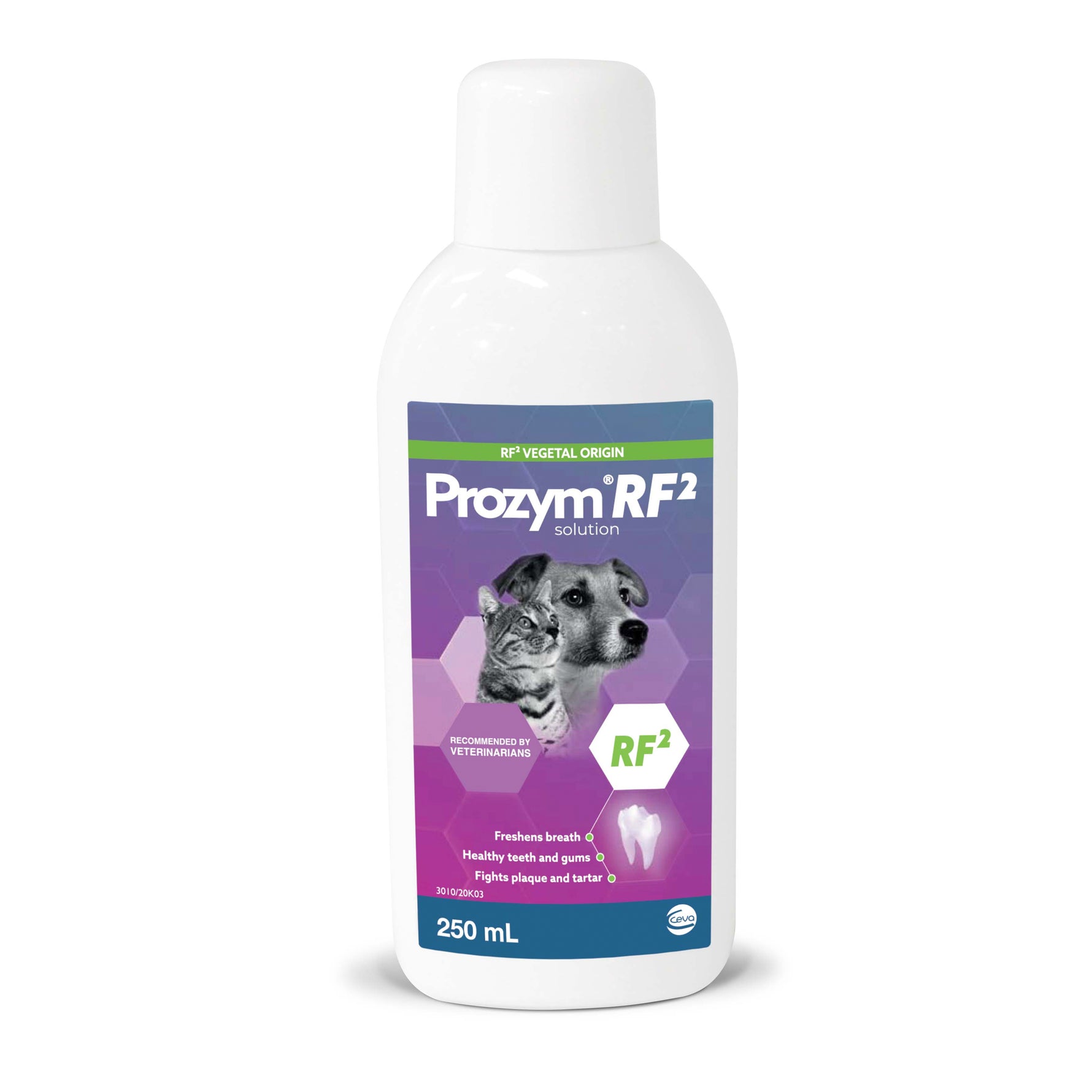 Prozym Dental Solution 250mL