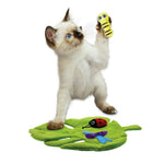 KONG Pull-A-Partz Bugz