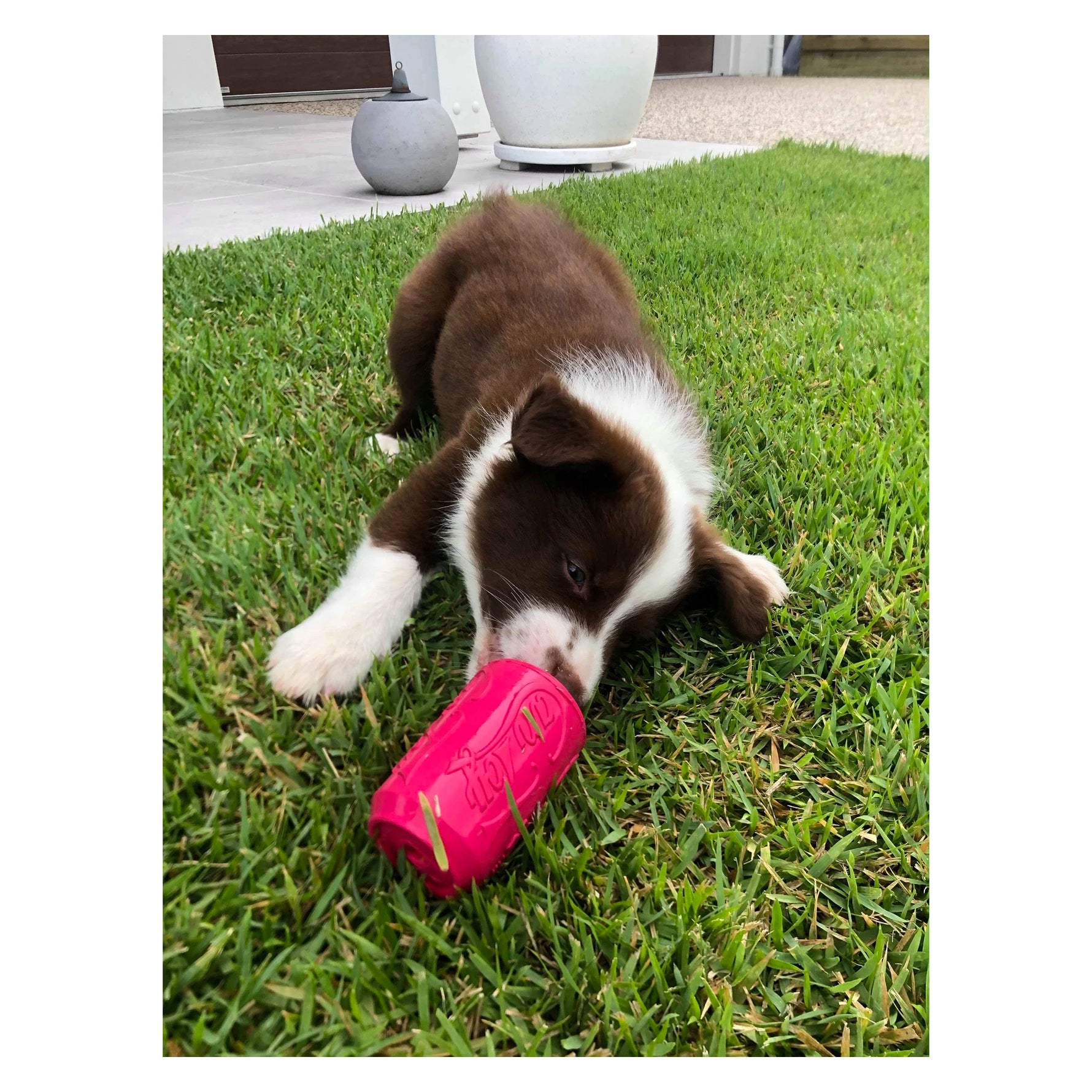 SodaPup Chew & Treat Dispensing Can Toy for Teething Pups