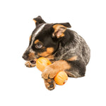 West Paw Zogoflex Quizl Treat Toy