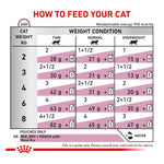 Royal Canin Veterinary Diet Feline Renal with Fish 12 x 85g