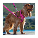 Rogz Utility Control Harness