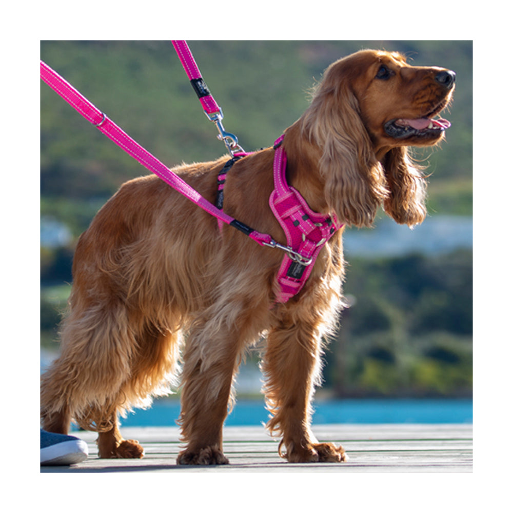 Rogz Utility Control Harness
