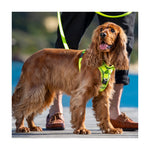 Rogz Utility Control Harness